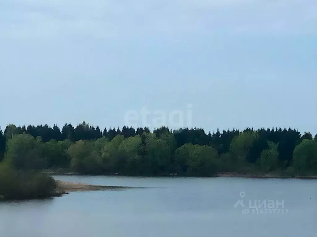 Участок в Брянская область, Жирятинское с/пос, с. Страшевичи  (24.5 ... - Фото 1