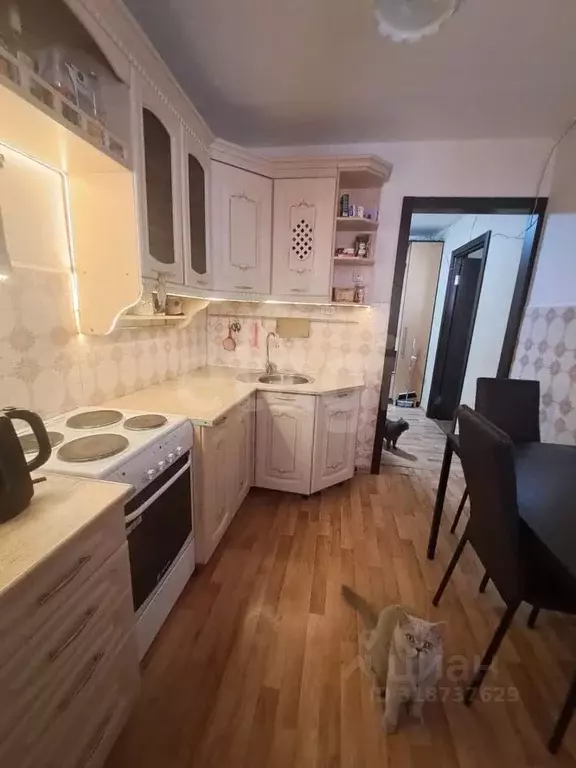 2-к кв. Новосибирская область, Новосибирск ул. Ленина, 29 (49.0 м) - Фото 0