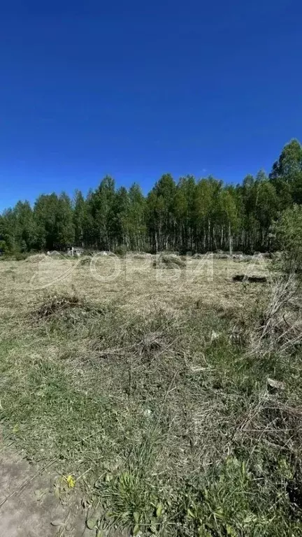 Участок в Тюменская область, Нижнетавдинский муниципальный округ, ... - Фото 1