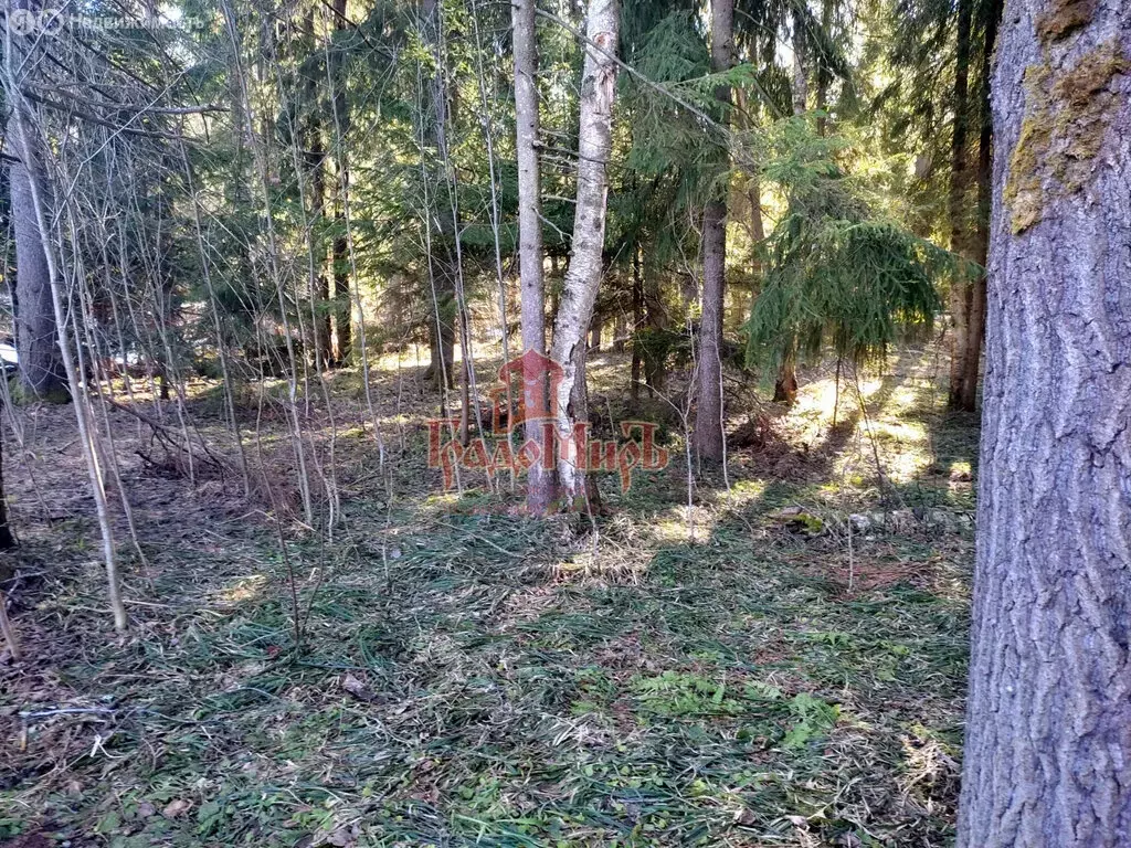 Участок в Пересвет, 3-я Лесная улица (14 м) - Фото 1