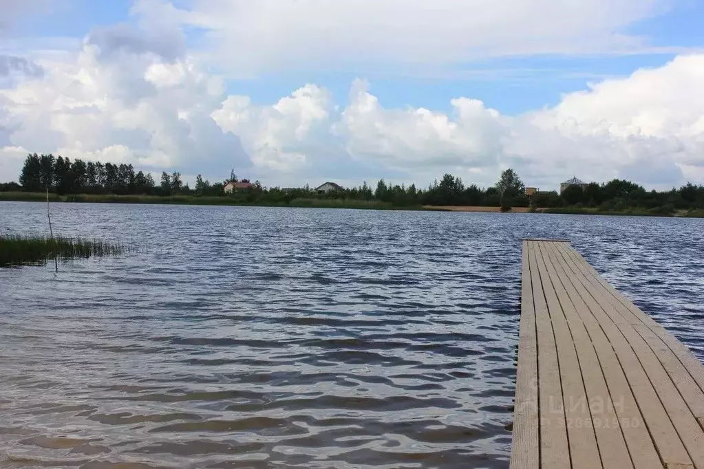 Участок в Санкт-Петербург, Санкт-Петербург, Пушкин Заозерное СНТ,  ... - Фото 2