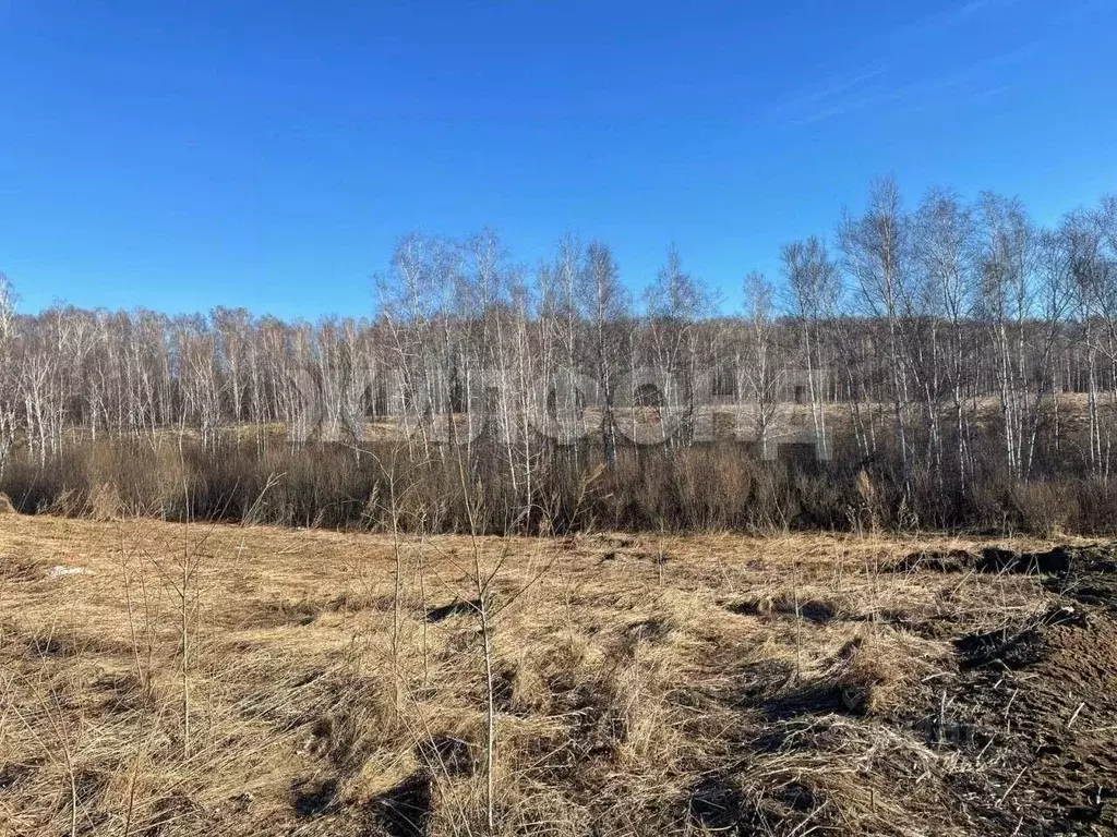 Участок в Новосибирская область, Новосибирский район, Станционный ... - Фото 1