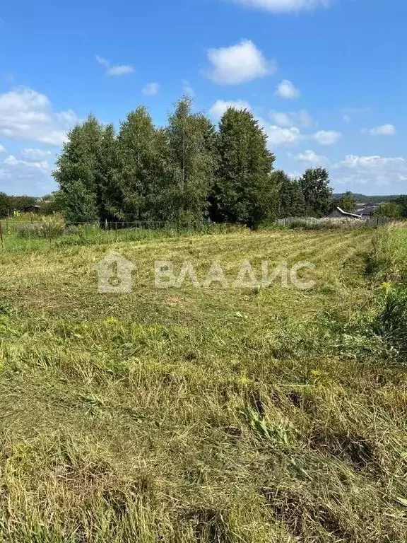 Участок в Владимирская область, Суздальский муниципальный округ, ... - Фото 1