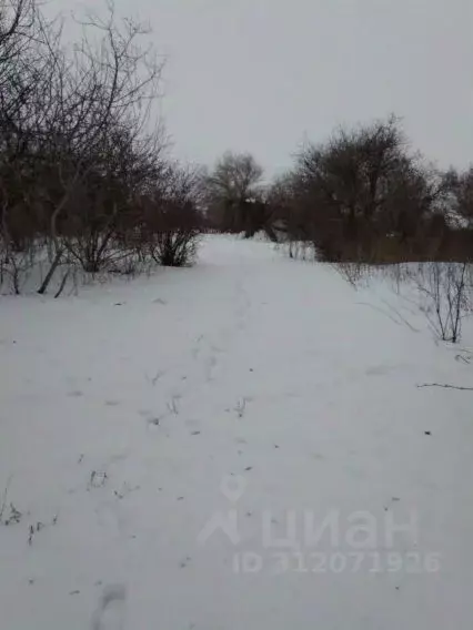 Участок в Самарская область, Кошкинский район, с. Большое Ермаково ... - Фото 0