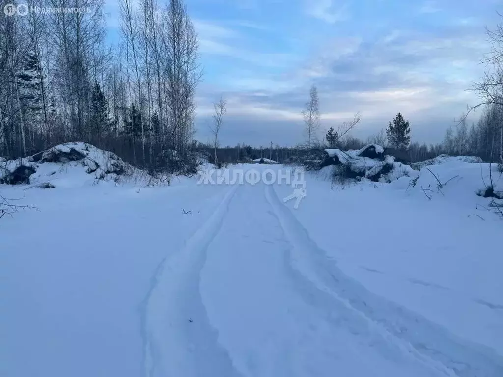 Участок в Станционный сельсовет, товарищество собственников ... - Фото 1