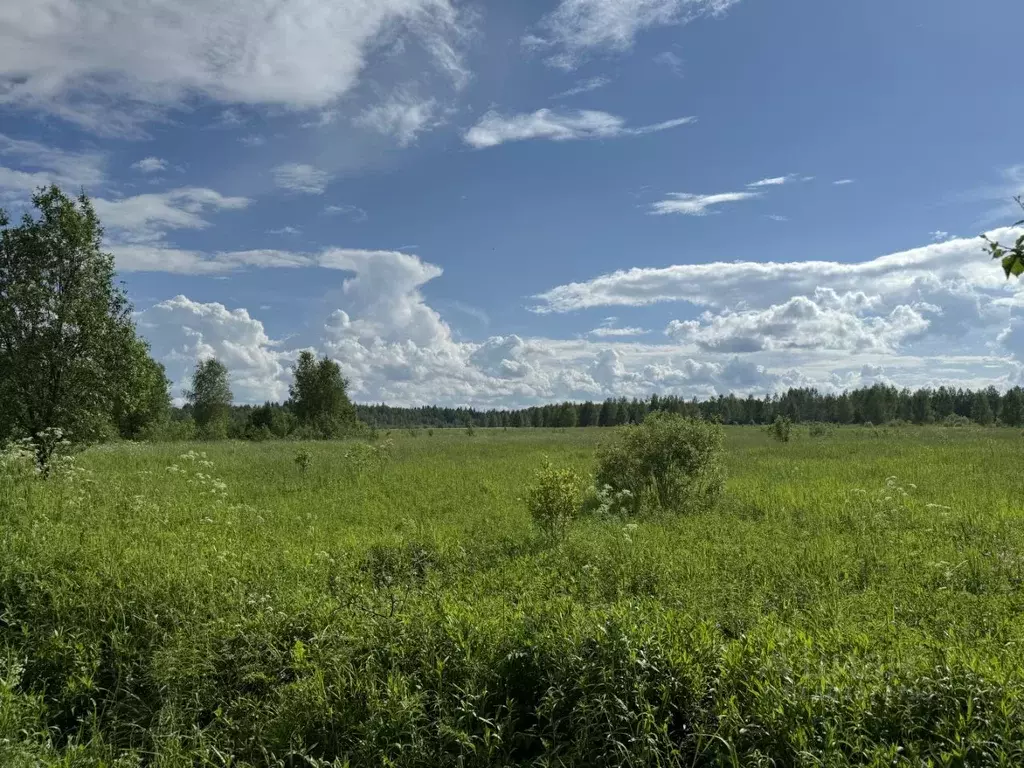 Участок в Московская область, Истра городской округ, д. Хованское 9 ... - Фото 0