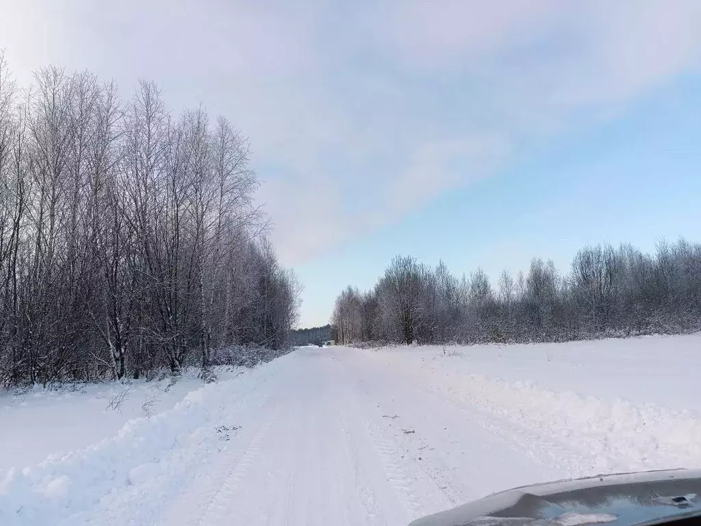 Участок в Московская область, Одинцовский городской округ, ЛапинО2 кп ... - Фото 1