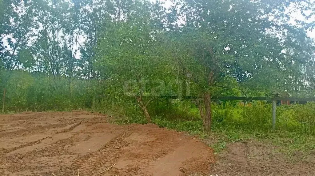 Участок в Владимирская область, Петушинский муниципальный округ, ... - Фото 1