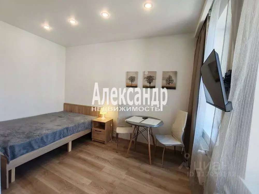 Студия Санкт-Петербург Коломяжский просп., 13к2 (29.0 м) - Фото 0