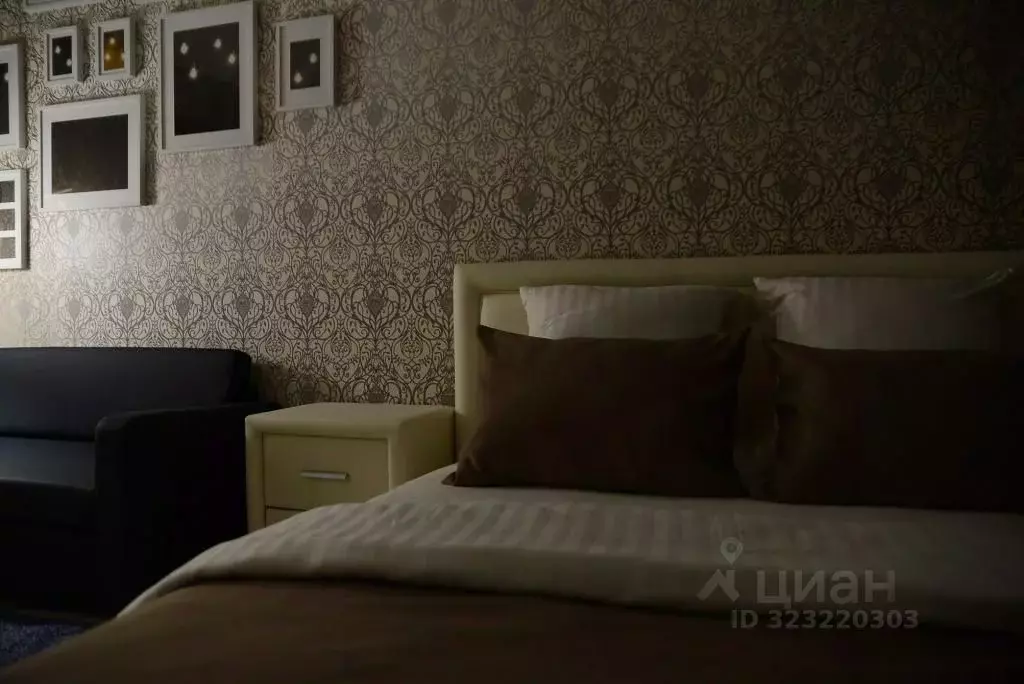 1-к кв. Воронежская область, Воронеж Средне-Московская ул., 62а (40.0 ... - Фото 1