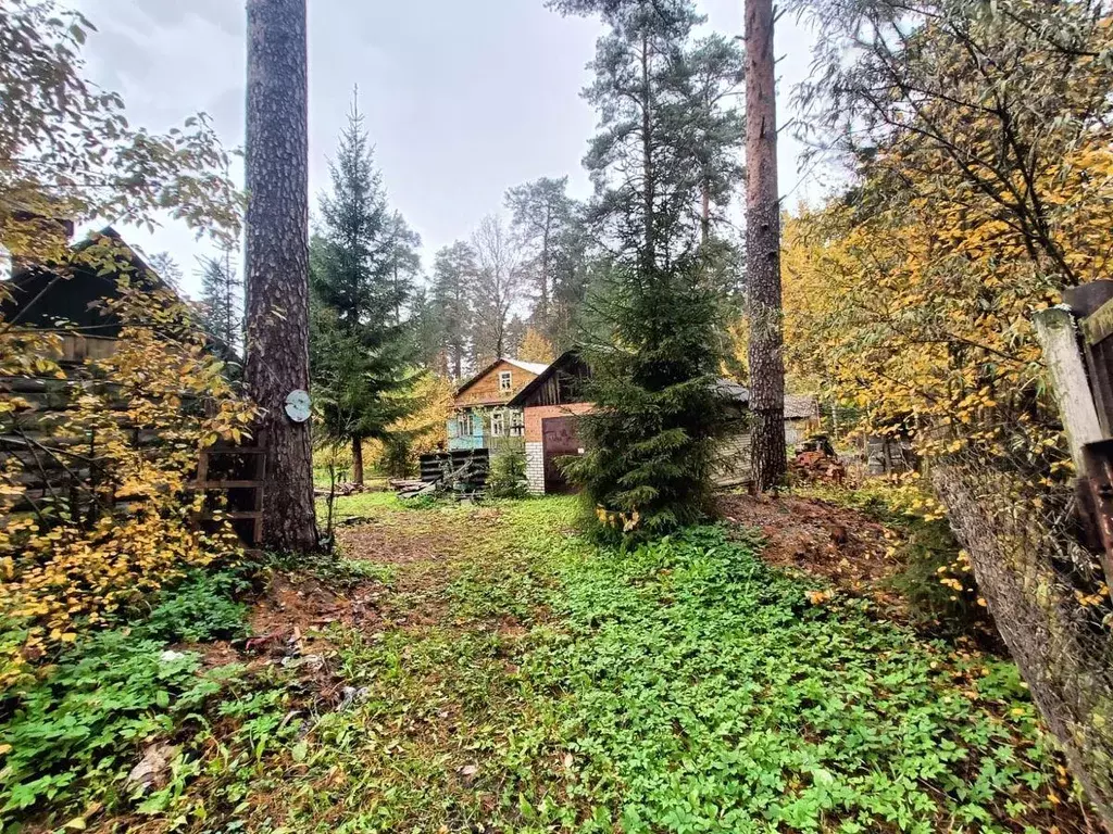 Участок, 15 сот., поселения (ижс) - Фото 1