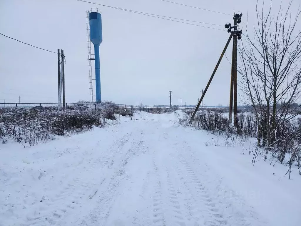 Участок в Брянская область, Брянский район, с. Глинищево  (16.45 сот.) - Фото 2