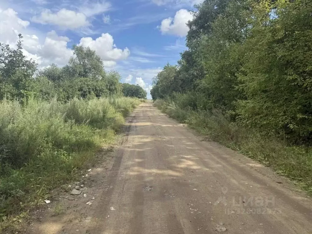 Участок в Амурская область, Благовещенский район, с. Волково  (15.0 ... - Фото 2