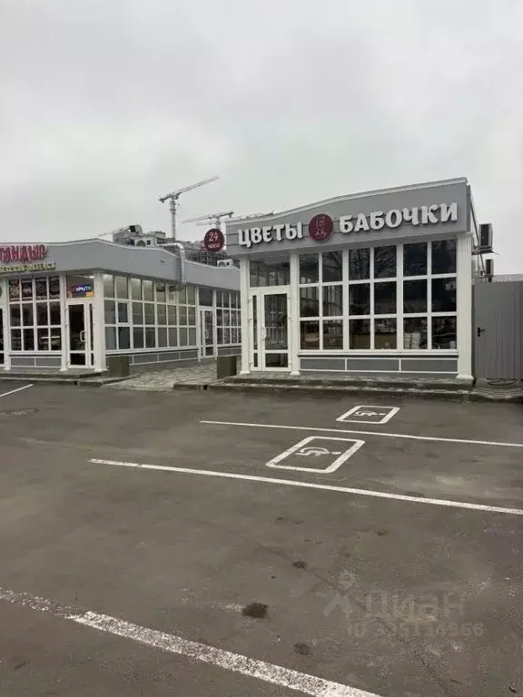 Торговая площадь в Ростовская область, Ростов-на-Дону просп. Шолохова, ... - Фото 1