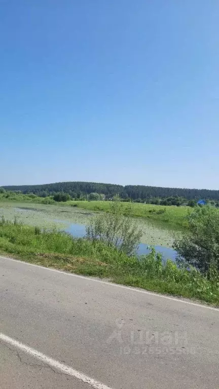 Участок в Алтайский край, Бийский район, пос. Мальцева Курья ул. ... - Фото 2