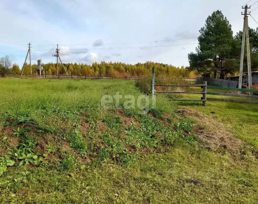 Участок в Вологодская область, с. Устье ул. Школьная (12.92 сот.) - Фото 2