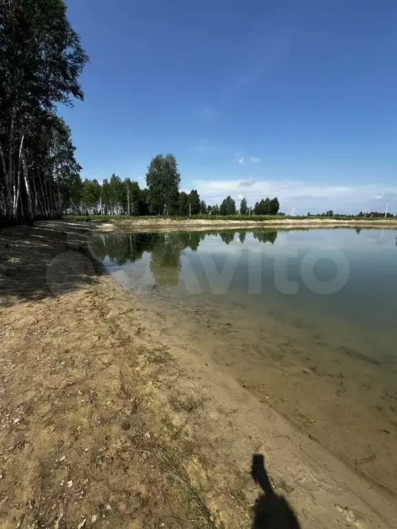 Участок 10 сот. (СНТ, ДНП) - Фото 0