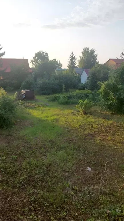 Участок в Омская область, Омск СНТ Любитель-3 ТСН,  (5.8 сот.) - Фото 2