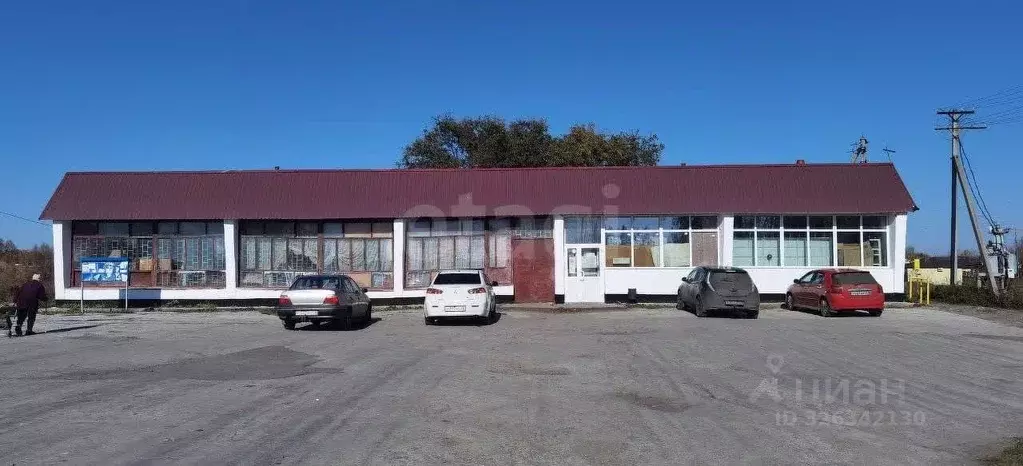 Торговая площадь в Курганская область, Кетовский муниципальный округ, ... - Фото 2