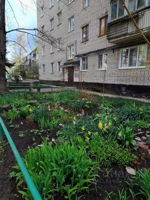 1-к кв. Новгородская область, Великий Новгород Октябрьская ул., 12к3 ... - Фото 0