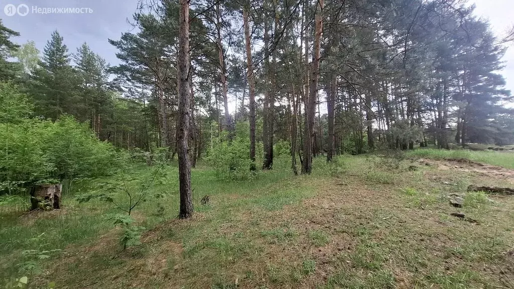 Участок в Московская область, городской округ Ступино, село Лужники ... - Фото 2