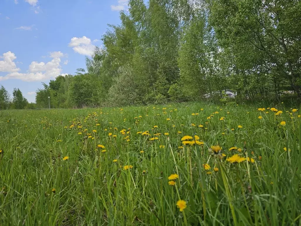 Участок в Московская область, Ступино городской округ, Олимп кп  (9.29 ... - Фото 2