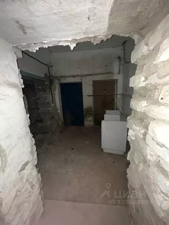 Помещение свободного назначения в Кировская область, Киров ул. Молодой ... - Фото 1