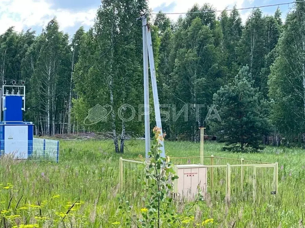 Участок в Тюменская область, Нижнетавдинский район, Царицыно СНТ  ... - Фото 0