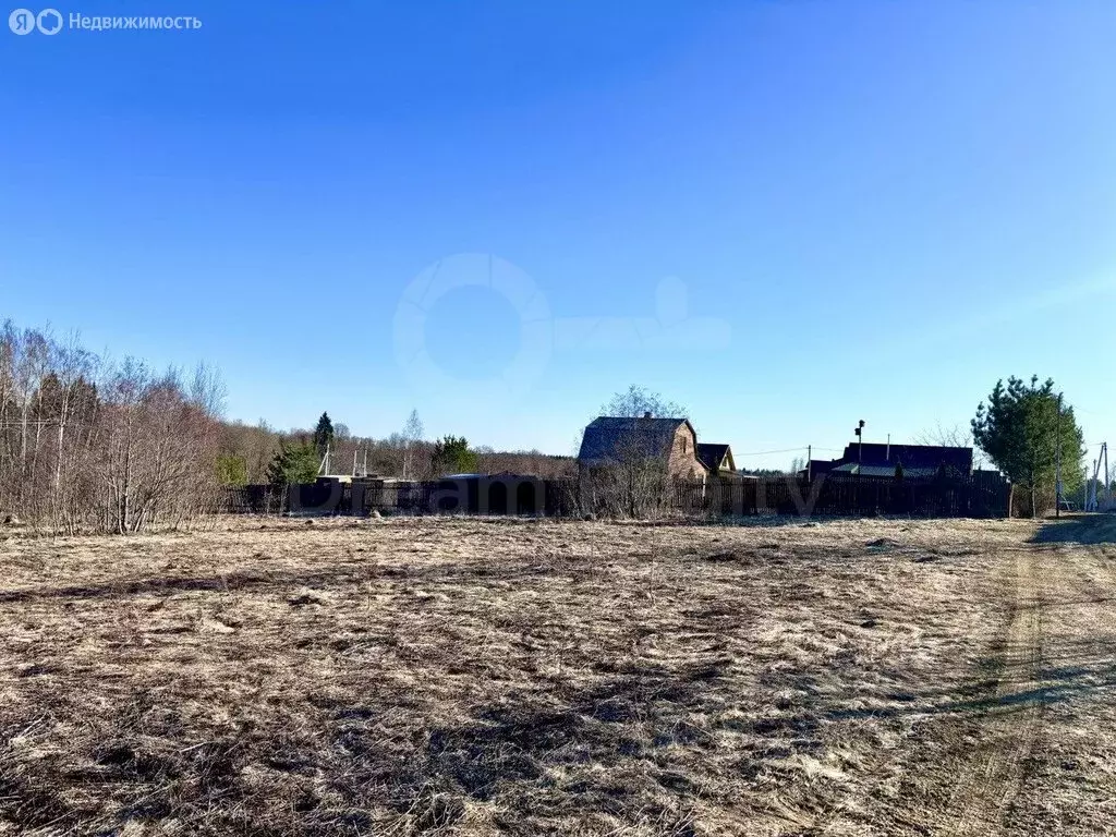 Участок в Московская область, Рузский муниципальный округ, деревня ... - Фото 2