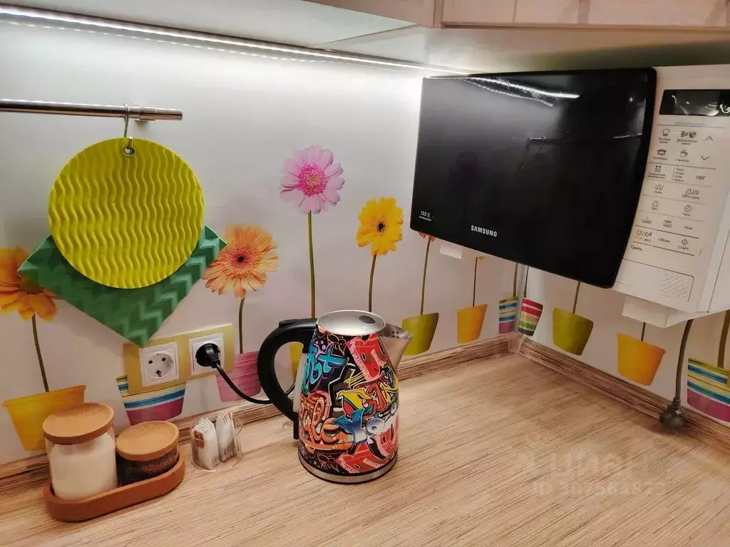 Студия Московская область, Жуковский ул. Гудкова, 22 (32.0 м) - Фото 2