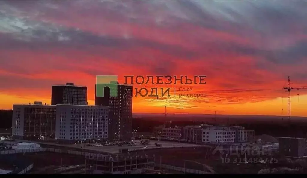 2-к кв. Кировская область, Киров ул. Анжелия Михеева, 16 (51.3 м) - Фото 0