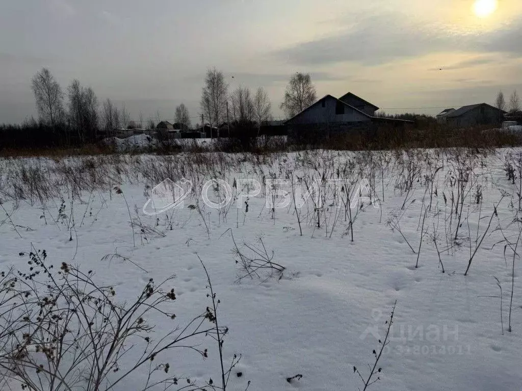 Участок в Тюменская область, Тюмень Царево садовое товарищество, ул. ... - Фото 0