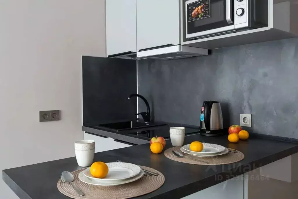 1-к кв. Санкт-Петербург просп. Стачек, 64 (20.0 м) - Фото 2