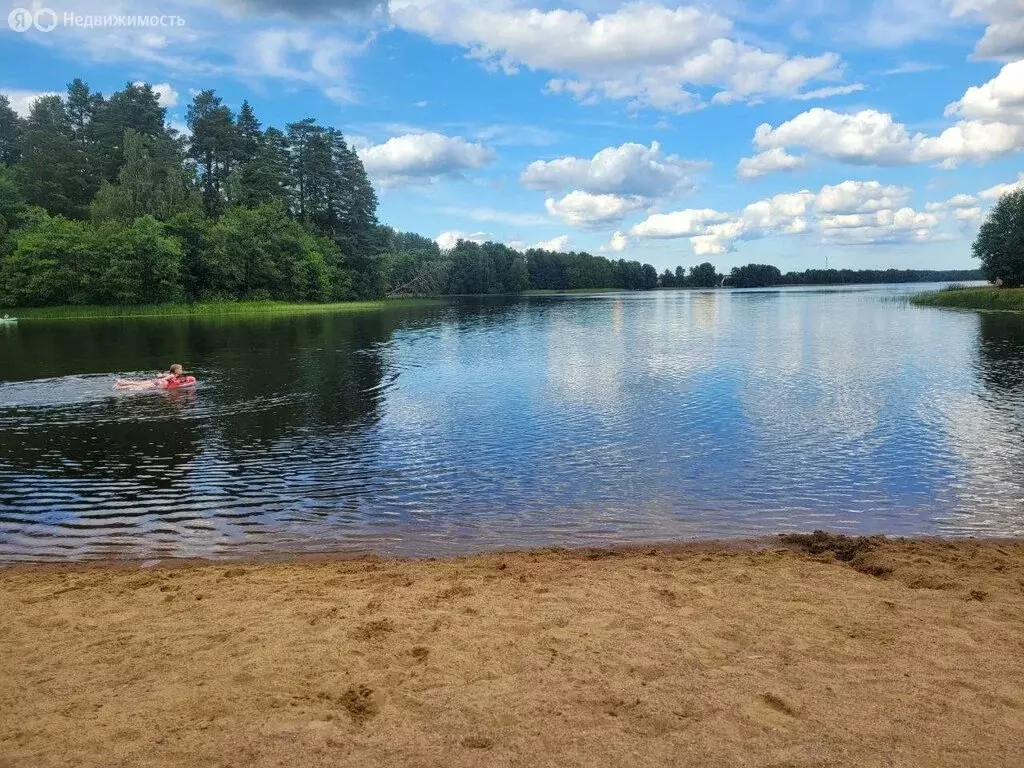 Участок в Приозерский район, Раздольевское сельское поселение, деревня ... - Фото 2
