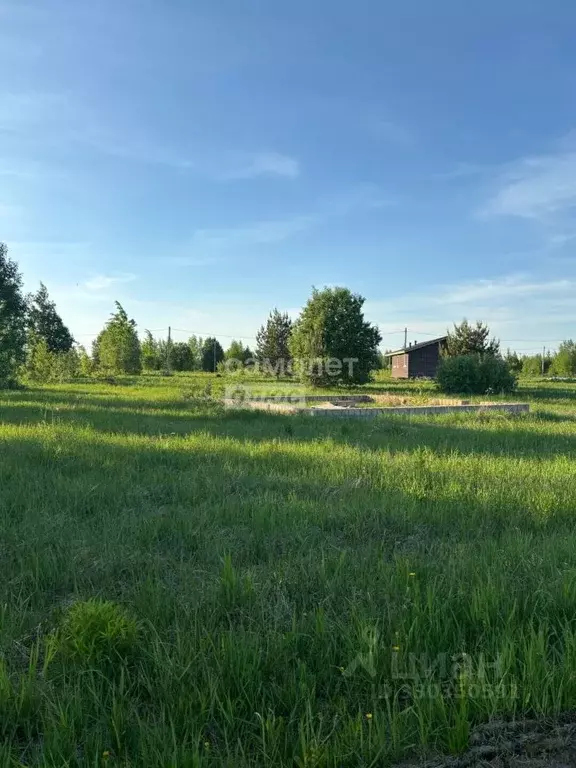 Участок в Марий Эл, Йошкар-Ола городской округ, д. Шоя-Кузнецово ... - Фото 2