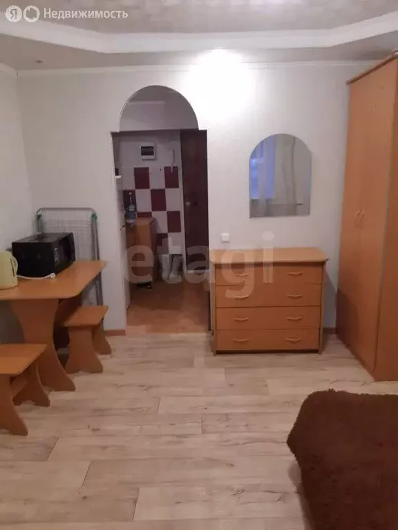 Квартира-студия: Томск, Железнодорожная улица, 7 (18 м) - Фото 2