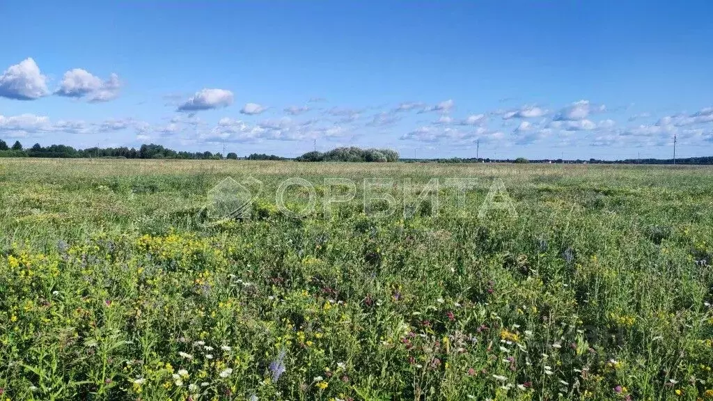 Участок в Тюменская область, Тюменский район, с. Кулаково тракт ... - Фото 0