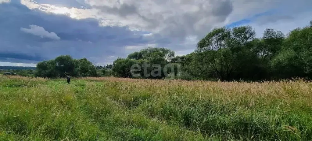Участок в Калужская область, Калуга Михалевская ул. (25.0 сот.) - Фото 1