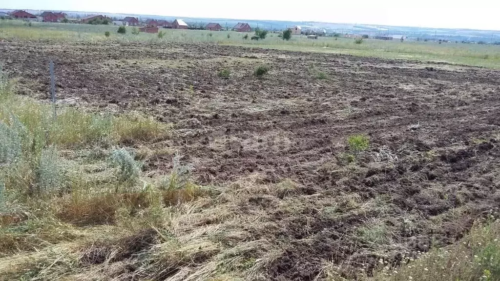 Участок в Ростовская область, Родионово-Несветайский район, ... - Фото 0