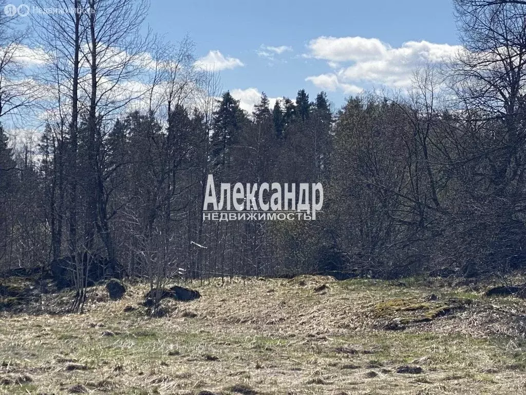 Участок в Приозерский район, Мельниковское сельское поселение, деревня ... - Фото 1