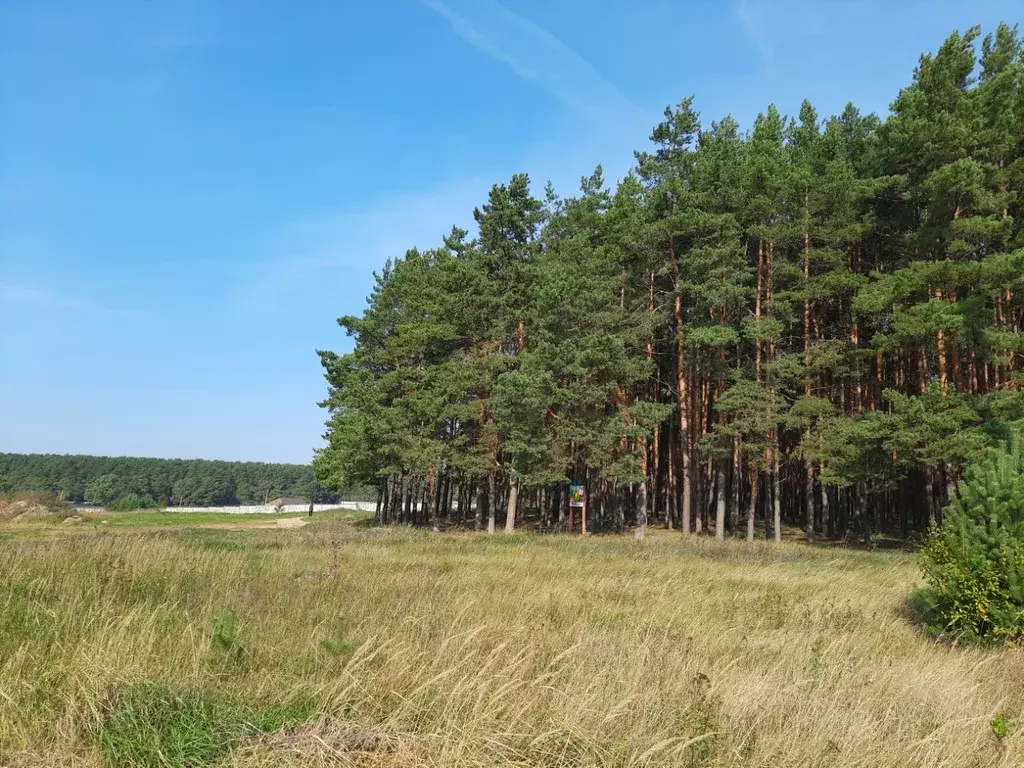 1-к кв. Московская область, Озеры Коломна городской округ, 1-й мкр, 27 ... - Фото 1