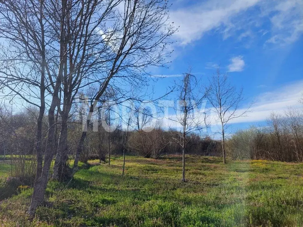 Участок в Краснодарский край, Апшеронский район, Кабардинское с/пос, ... - Фото 2