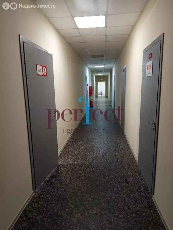 Помещение свободного назначения (21.6 м) - Фото 2