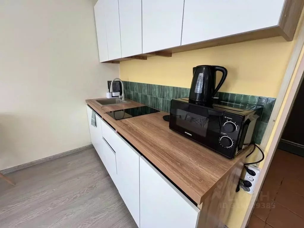 1-к кв. Псковская область, Псков ул. Ижорского Батальона, 57А (50.0 м) - Фото 2