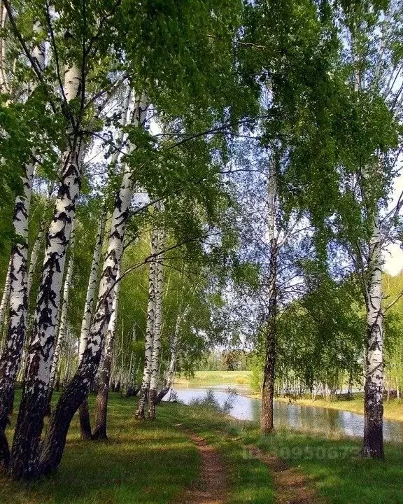 Коттедж в Московская область, Истра городской округ, д. Покровское, ... - Фото 0