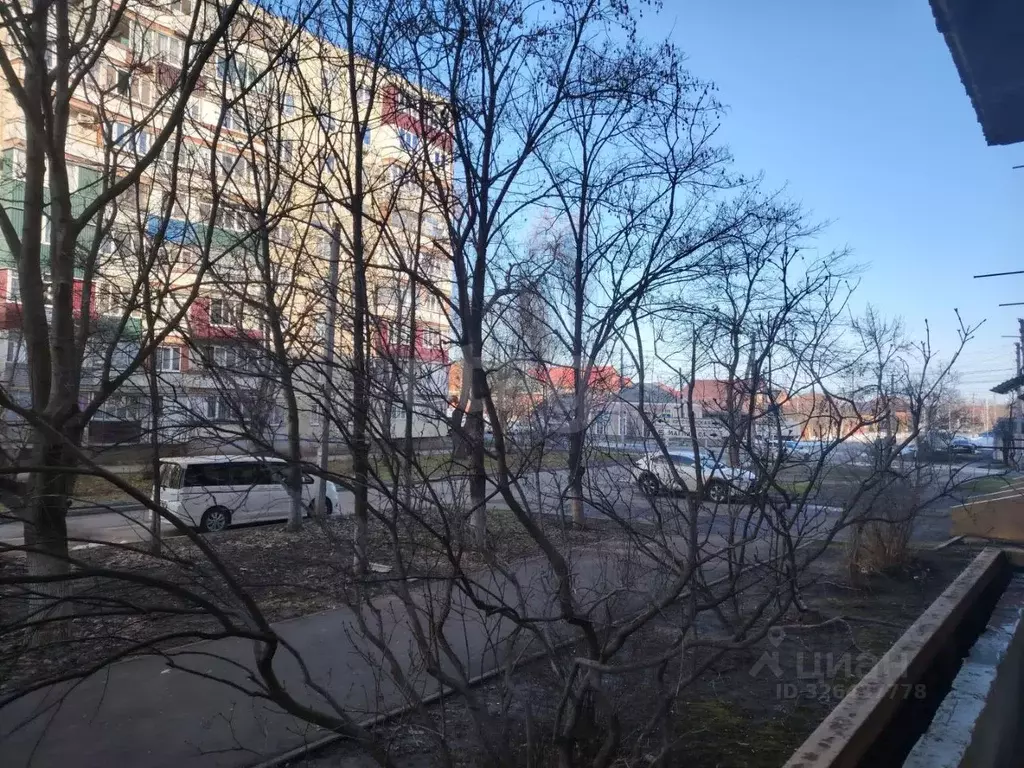 1-к кв. Адыгея, Майкоп ул. Патриса Лумумбы, 122 (37.4 м) - Фото 1