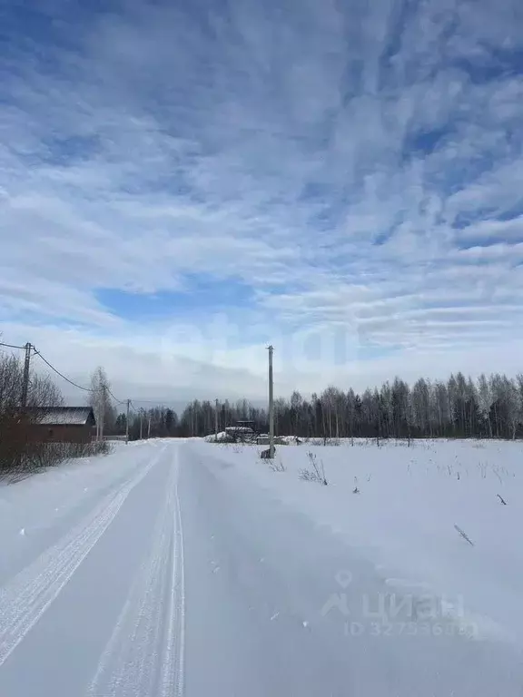 Участок в Новосибирская область, Коченевский район, Тальник СНТ ул. ... - Фото 1