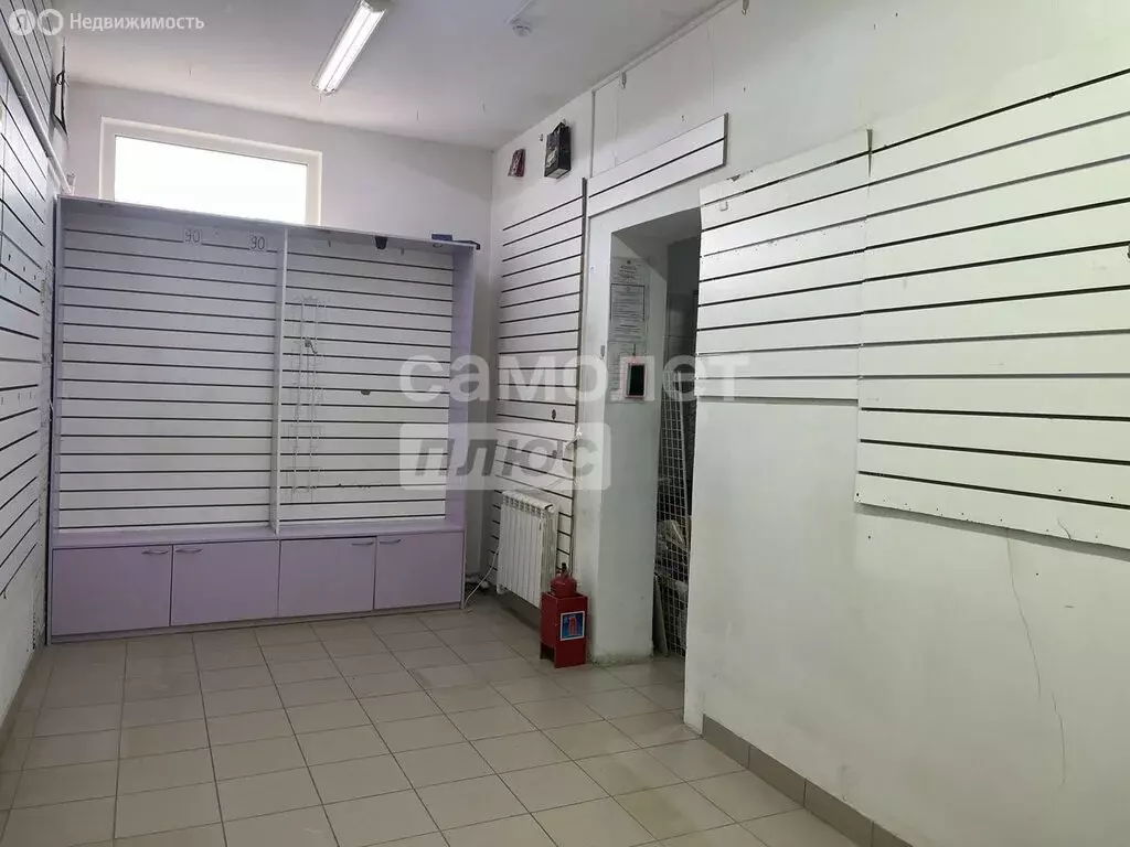 Торговая площадь (24.6 м) - Фото 2