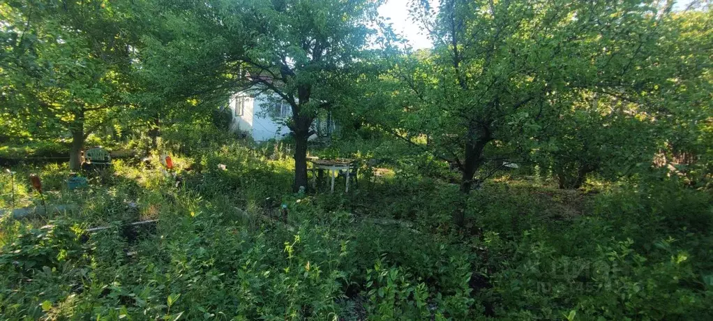 Участок в Саратовская область, Саратов  (6.0 сот.) - Фото 1