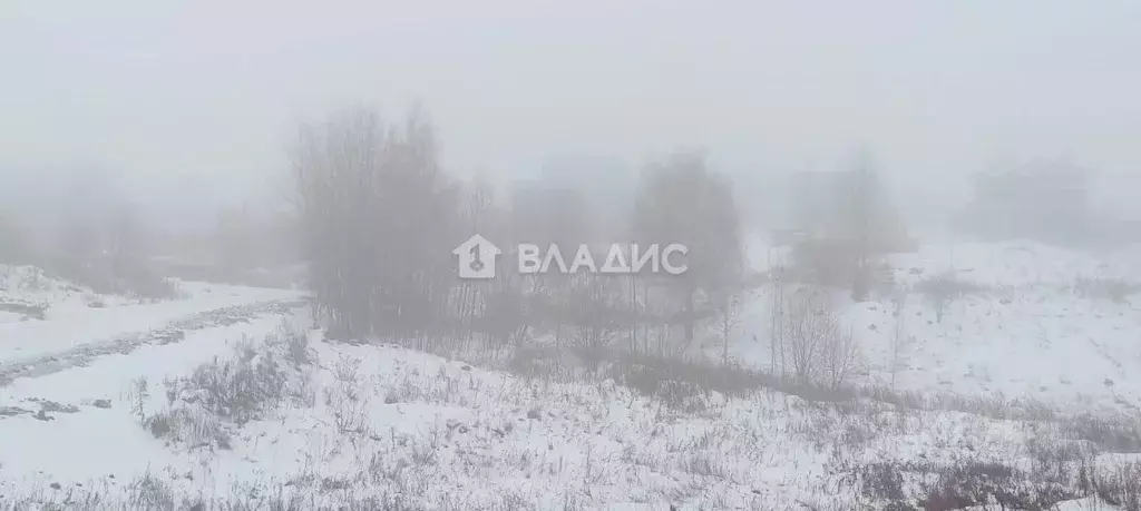 Участок в Владимирская область, Суздальский район, Боголюбовское ... - Фото 1